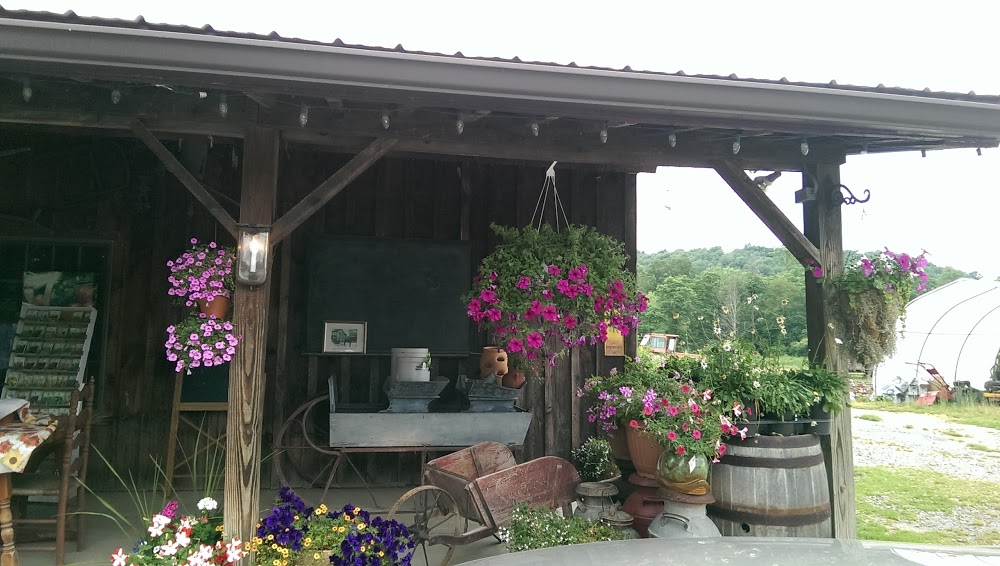 Country Wagon Produce (Closed from January-March)
