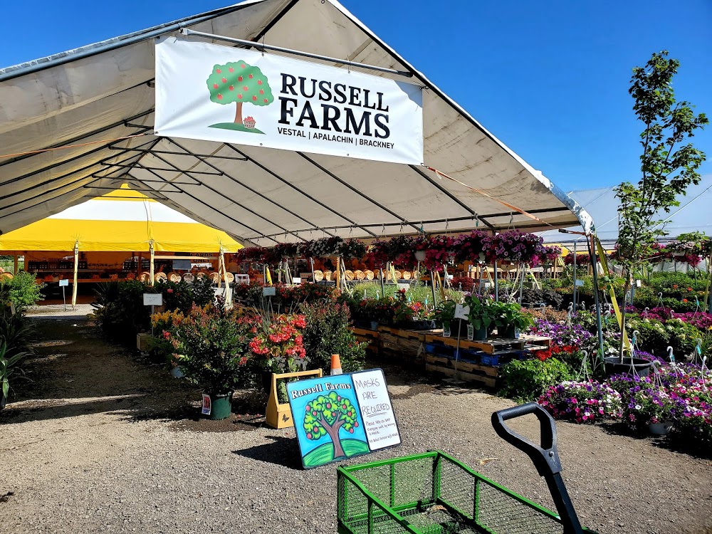 Russell Farms Vestal